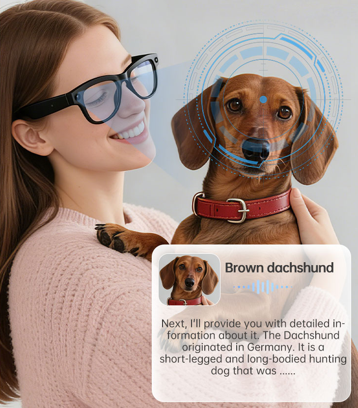 Private Label AI Smart Glasses: How Eyewear Brands Can Add AI Features in 90 Days